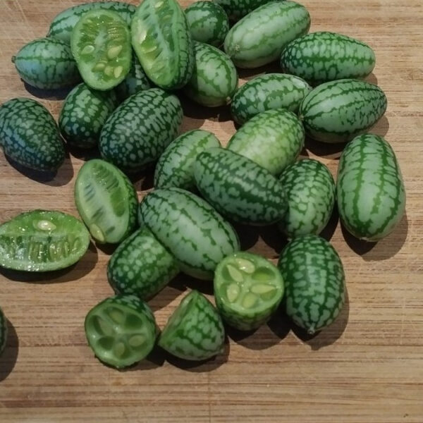 Concombre Cocktail